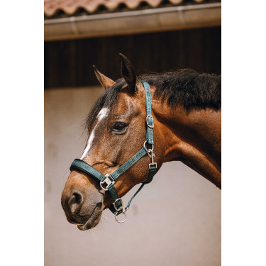 Licol nylon Equithème Jacquard