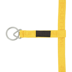 Licol nylon Equithème Jacquard Or Licol nylon Equithème Jacquard Or