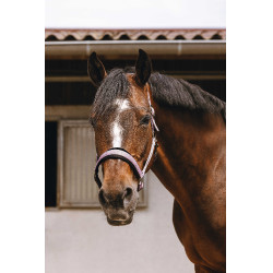 Licol nylon Equithème Jacquard