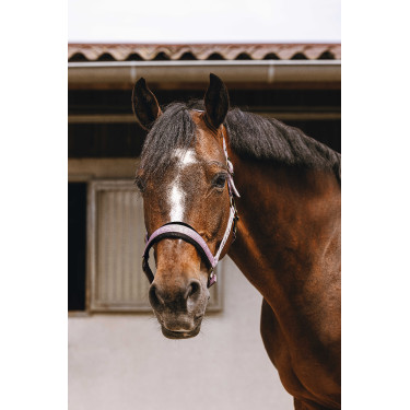 Licol nylon Equithème Jacquard