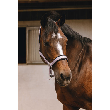 Licol nylon Equithème Jacquard Lilas Bleu