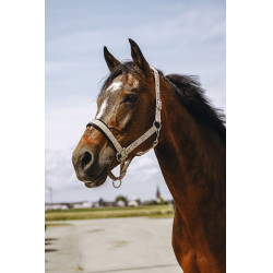 Licol nylon Equithème Jacquard Taupe Marron Licol nylon Equithème Jacquard Taupe Marron