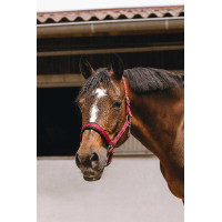 Licol nylon Equithème Jacquard Bordeaux