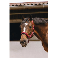 Licol nylon Equithème Jacquard Bordeaux