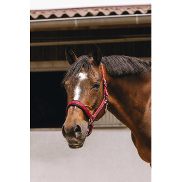 Licol nylon Equithème Jacquard Bordeaux