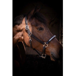 Licol Pénélope Harmonie Noir