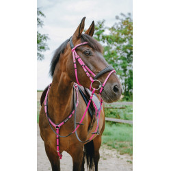 Bridon endurance Norton Pop