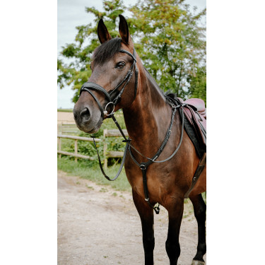 Bridon endurance Norton Pop