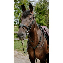 Bridon endurance Norton Pop