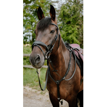 Bridon endurance Norton Pop