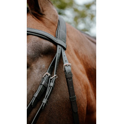 Bridon endurance Norton Pop