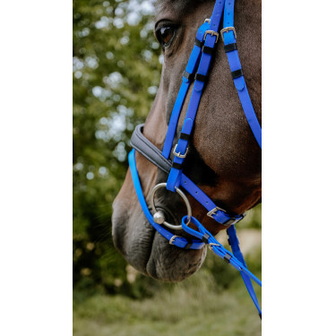 Bridon endurance Norton Pop