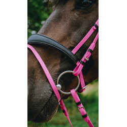 Bridon endurance Norton Pop