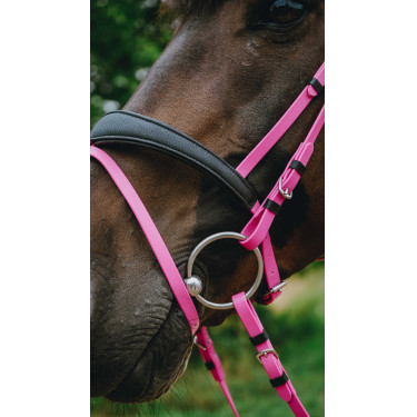 Bridon endurance Norton Pop