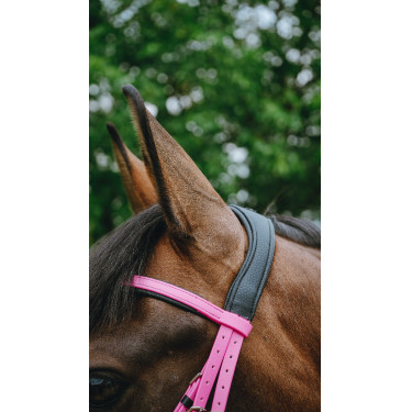 Bridon endurance Norton Pop