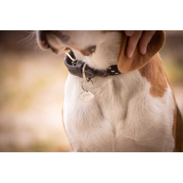 Collier pour chien Penelope Billie