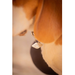 Collier pour chien Penelope Billie