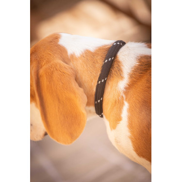 Collier pour chien Penelope Billie