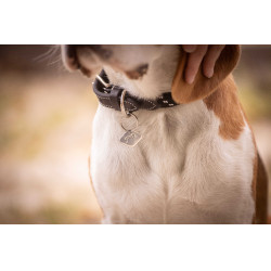 Collier pour chien Penelope Billie