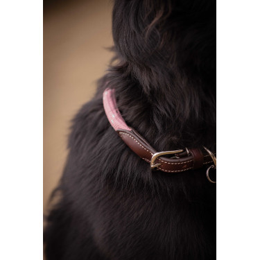 Collier pour chien Penelope Billie
