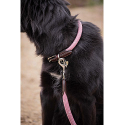 Collier pour chien Penelope Billie