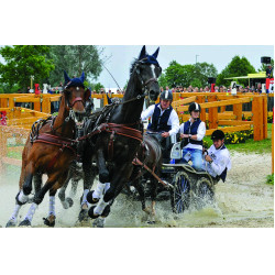 Gilet airbag Helite Air jacket adulte