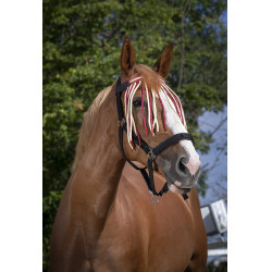 Frontal chasse-mouches Norton