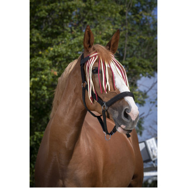 Frontal chasse-mouches Norton