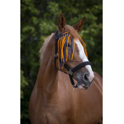 Frontal chasse-mouches Norton Marine / orange Bleu