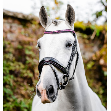 Bridon Horseware Diamante Flash Noir / rose