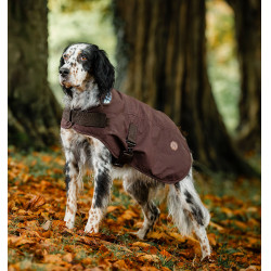 Couverture chien Horseware Heritage Newmarket Marron / bleu marine witney