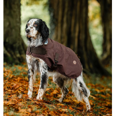 Couverture chien Horseware Heritage Newmarket Marron / bleu marine witney