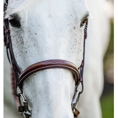 Bridon poney Horseware Cavesson Hunter avec rênes Marron