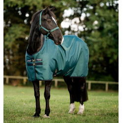 Couverture Horseware Amigo Ripstop 900D Poney Turnout 0g Vert dynastie / marine / argent Couverture Horseware Amigo Ripstop 900D Poney Turnout 0g Vert dynastie / marine / argent
