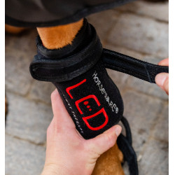 Guêtres de Thérapie pour chien Horseware par lumière rouge LED