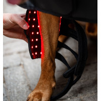 Guêtres de Thérapie pour chien Horseware par lumière rouge LED Noir / noir