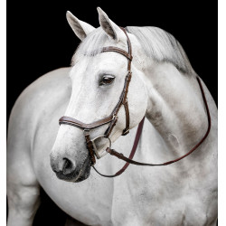 Bridon Horseware Micklem Deluxe Competition Havane foncé Marron