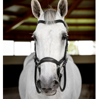 Bridon Horseware Micklem Deluxe Competition