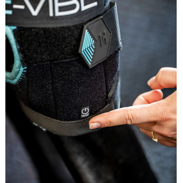Protège-jarrets Horseware Ice-Vibe