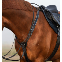 Collier de chasse Horseware Micklem avec martingale Marron