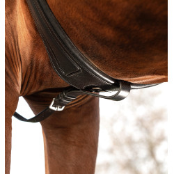 Collier de chasse Horseware Micklem avec martingale Noir Collier de chasse Horseware Micklem avec martingale Noir