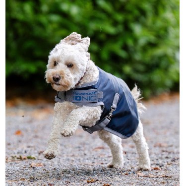 Couverture thérapeutique pour chien Horseware Ionic 50g Bleu impérial / argent & marine Couverture thérapeutique pour chien Horseware Ionic 50g Bleu impérial / argent & marine