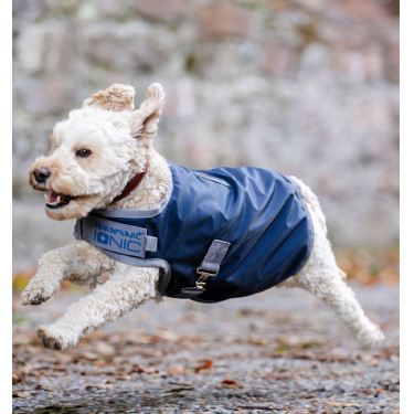 Couverture thérapeutique pour chien Horseware Ionic 50g Bleu impérial / argent & marine Couverture thérapeutique pour chien Horseware Ionic 50g Bleu impérial / argent & marine