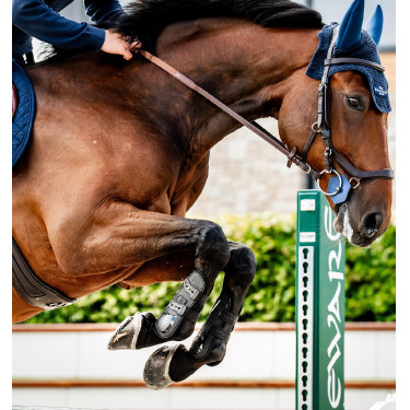 Guêtres Horseware® Classic Noir / noir Guêtres Horseware® Classic Noir / noir