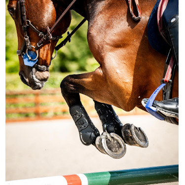 Guêtres Horseware® Classic Noir / noir Guêtres Horseware® Classic Noir / noir