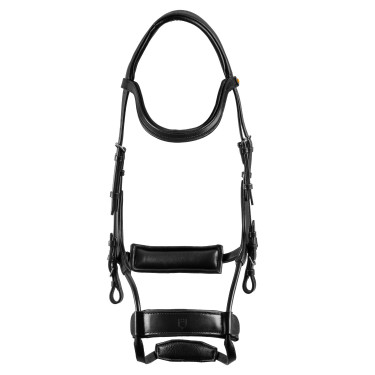 Bridon Comfitec Equestro anatomique en cuir Noir