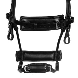 Bridon Comfitec Equestro anatomique en cuir Noir