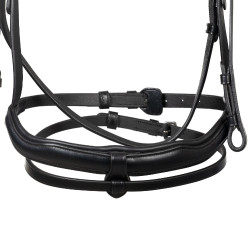 Bridon Equestro à muserolle anatomique Noir