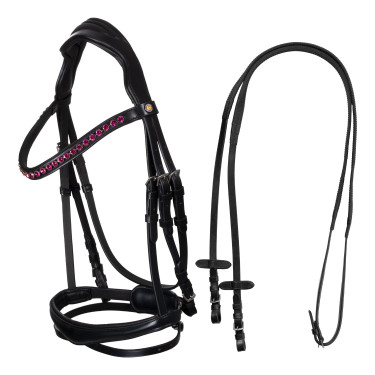 Bridon Equestro anatomique avec pierres Fuchsia Noir Bridon Equestro anatomique avec pierres Fuchsia Noir