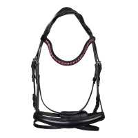 Bridon Equestro anatomique avec pierres Fuchsia Noir